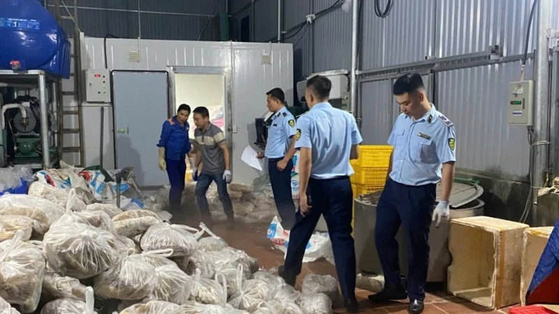 Số lượng lớn thực phẩm đông lạnh vi phạm bị lực lượng quản lý thị trường phát hiện, thu giữ. (Ảnh: Báo Nhân Dân)